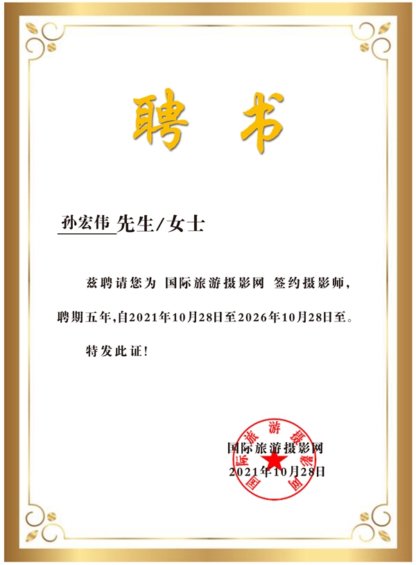 国产精品成人无码免费