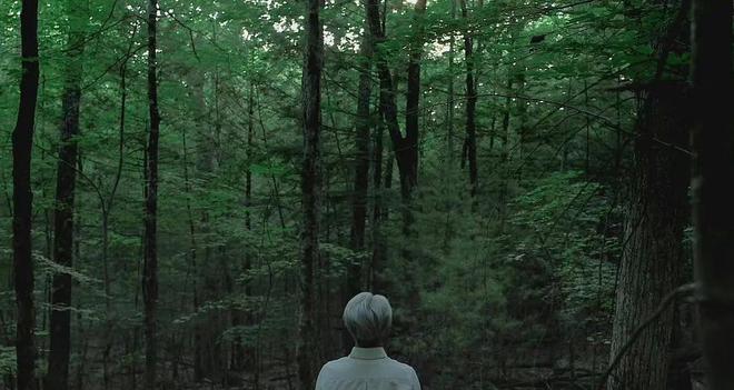 黄漫3d专区 那个专区的黄漫真正主题