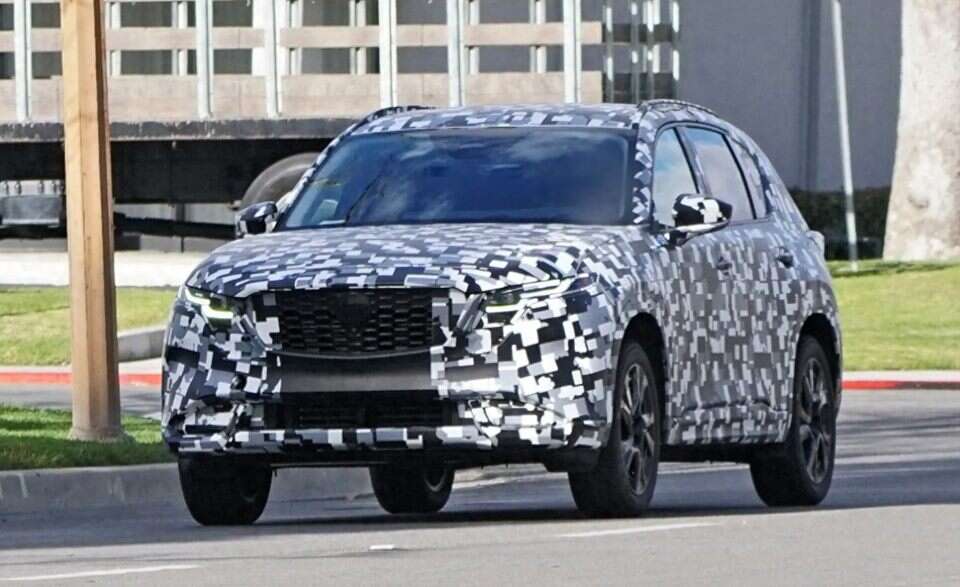 十八禁在线看海报