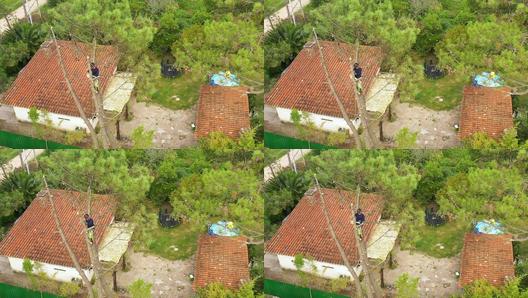 人类幼崽在线观看海报