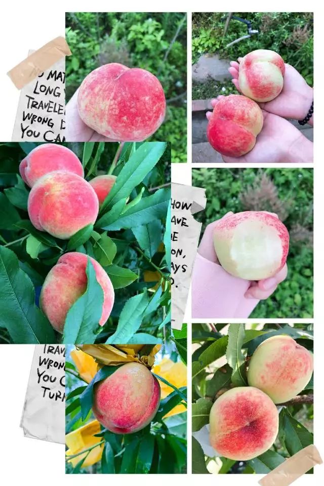 hj1266.cc 未成年人类别