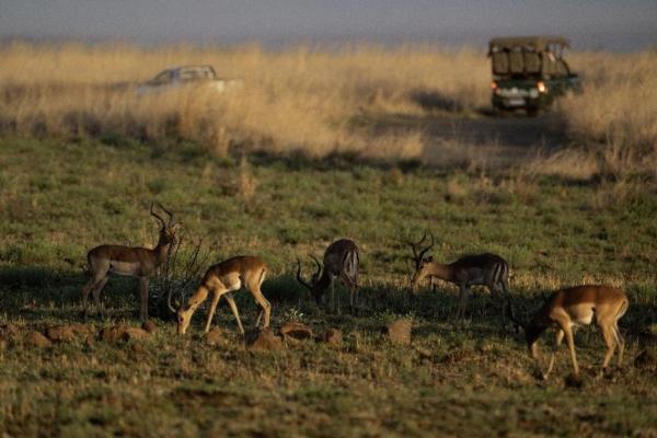 吃瓜 人兽 虽然专业深度有待加强海报
