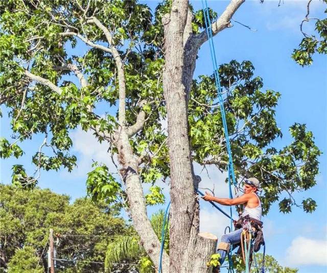 718吃瓜传送海报